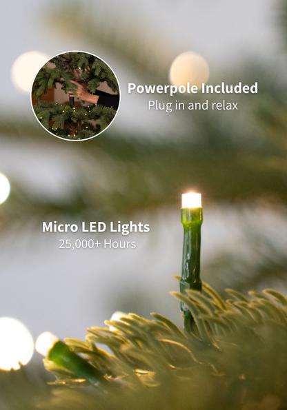 9' Silverpeak Fir™ Artificial Christmas Tree 4700 Lux LED Lights